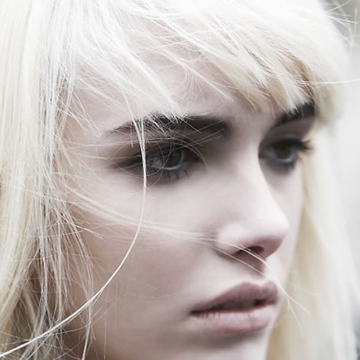 BROW BLEACHING YES NO AND HOW TO Beautygeeks