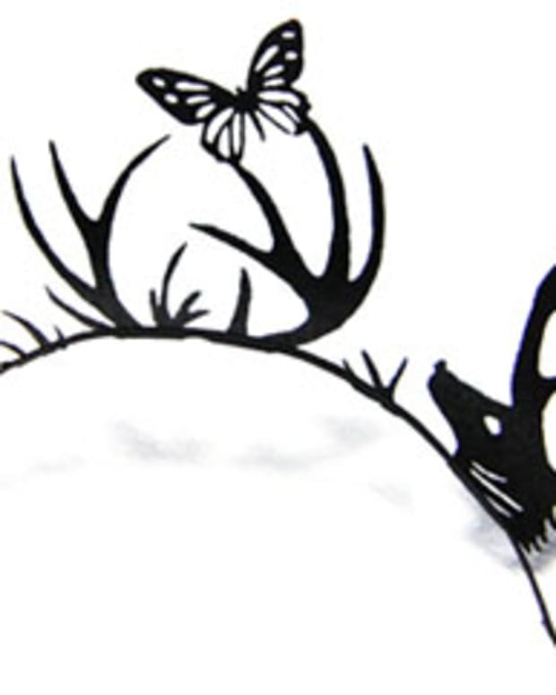 paperself-eyelashes_butterfly-deer