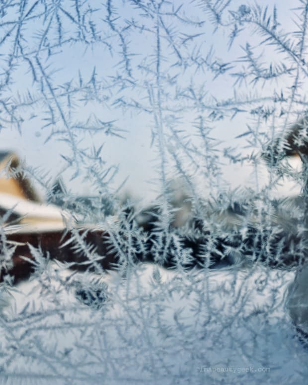 Frosted window in Winterpeg Winnipeg