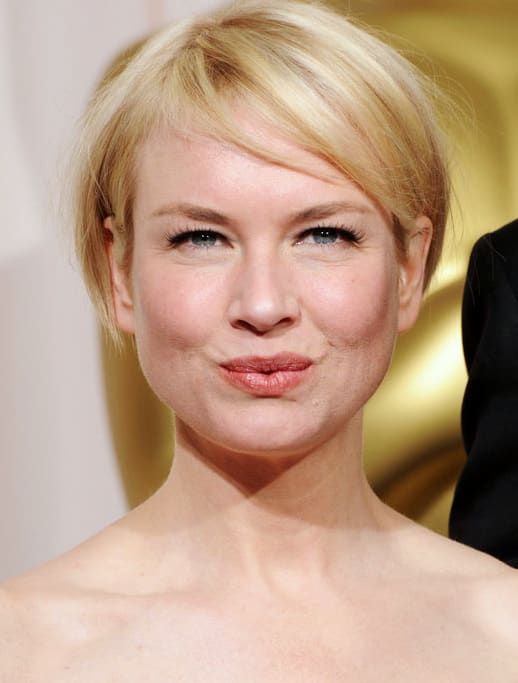 Renee Zellweger or Renee Zellweger? Is Her New Face Really So Wrong ...