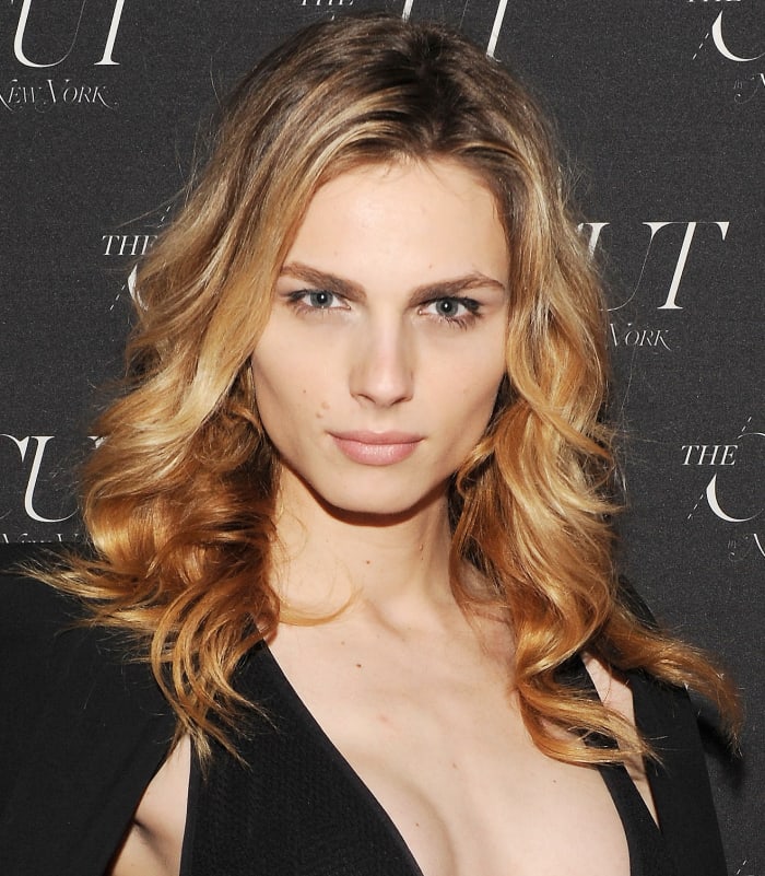 Andreja Pejic transgender model