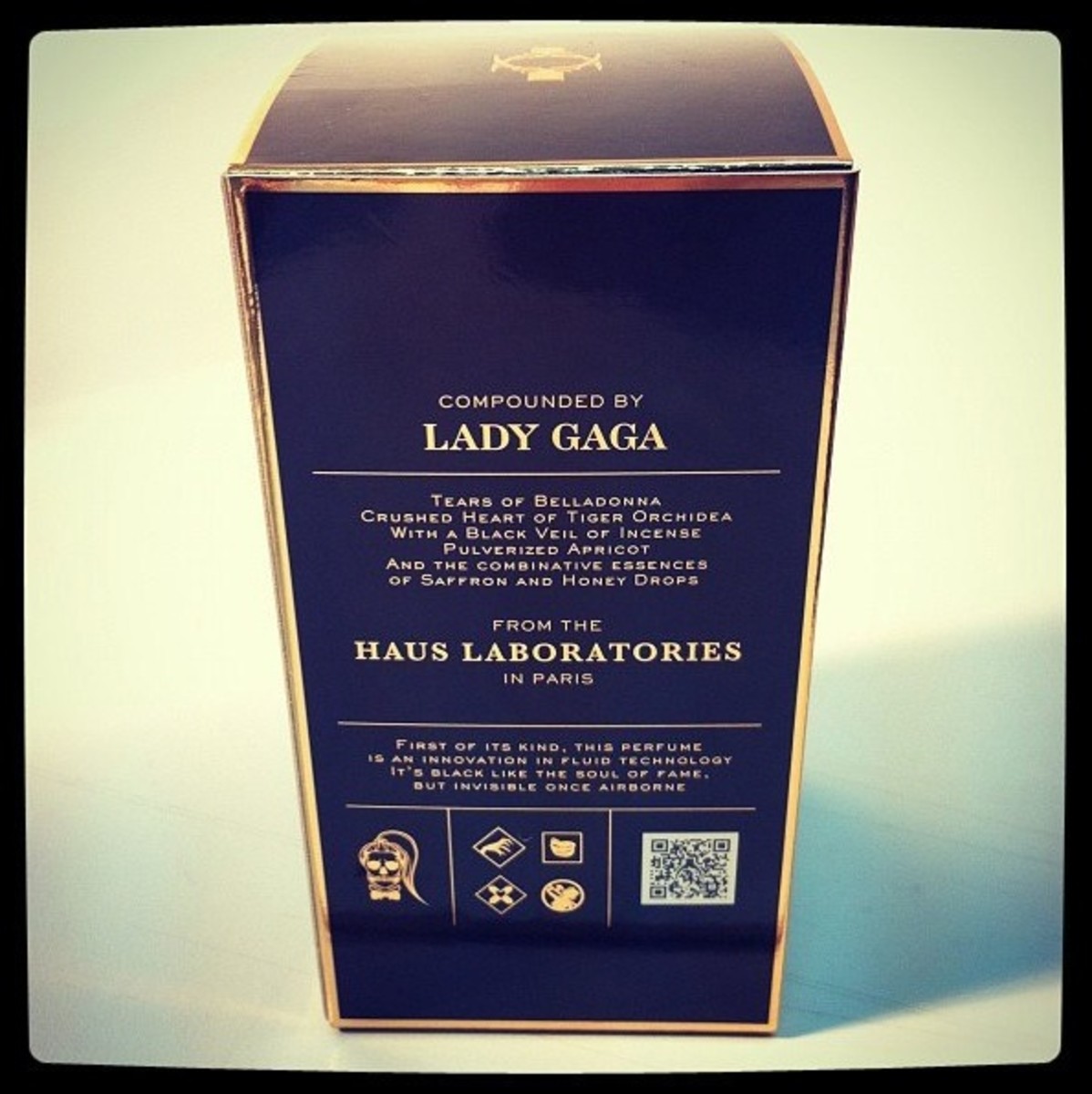 Lady Gaga Fame_via LadyGaga tweet
