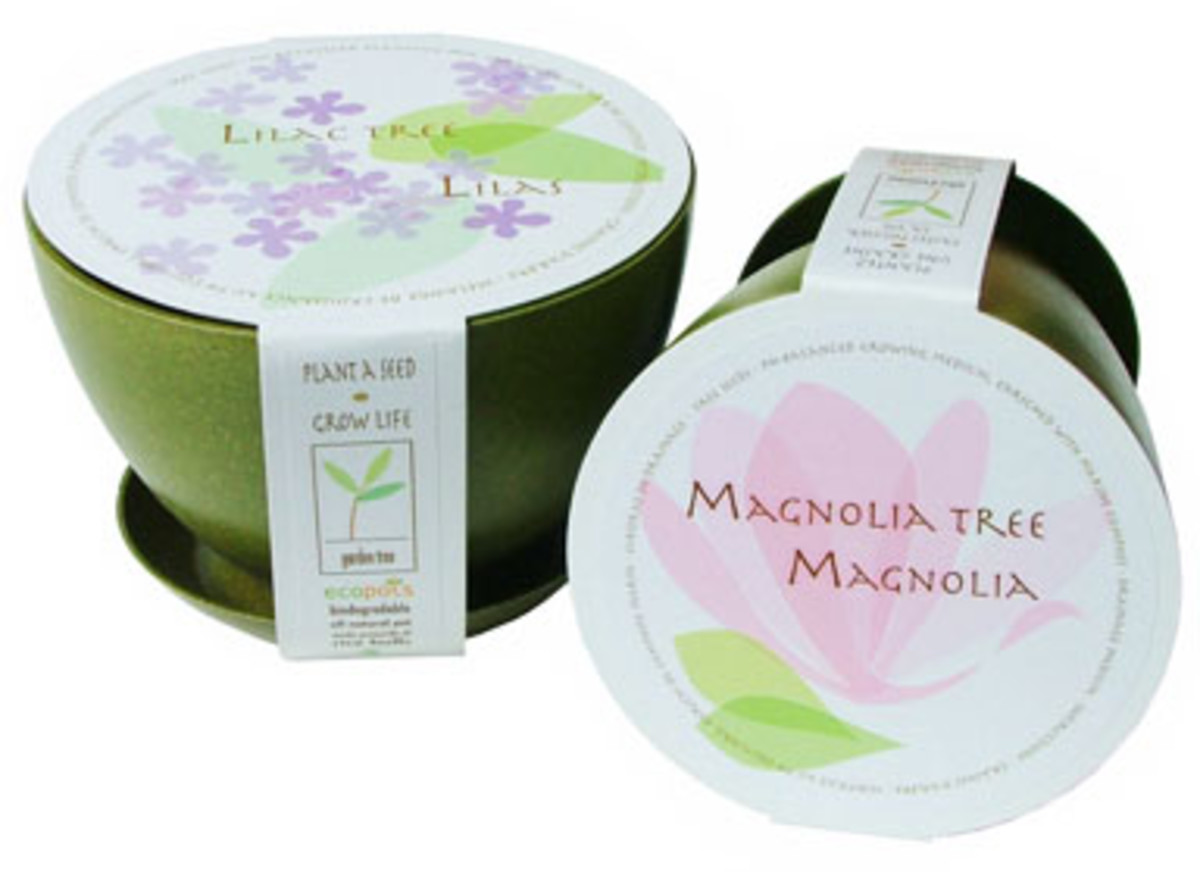 indigo magnolia & lilac pots
