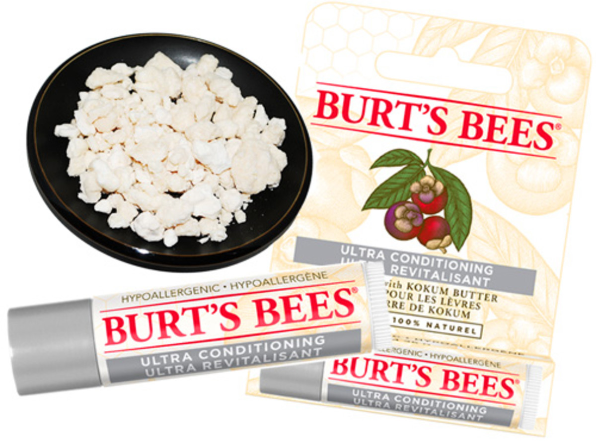 Burt's Bees Ultra Conditioning Lip Balm