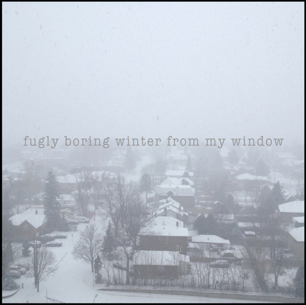 Winter Window Beautygeeks