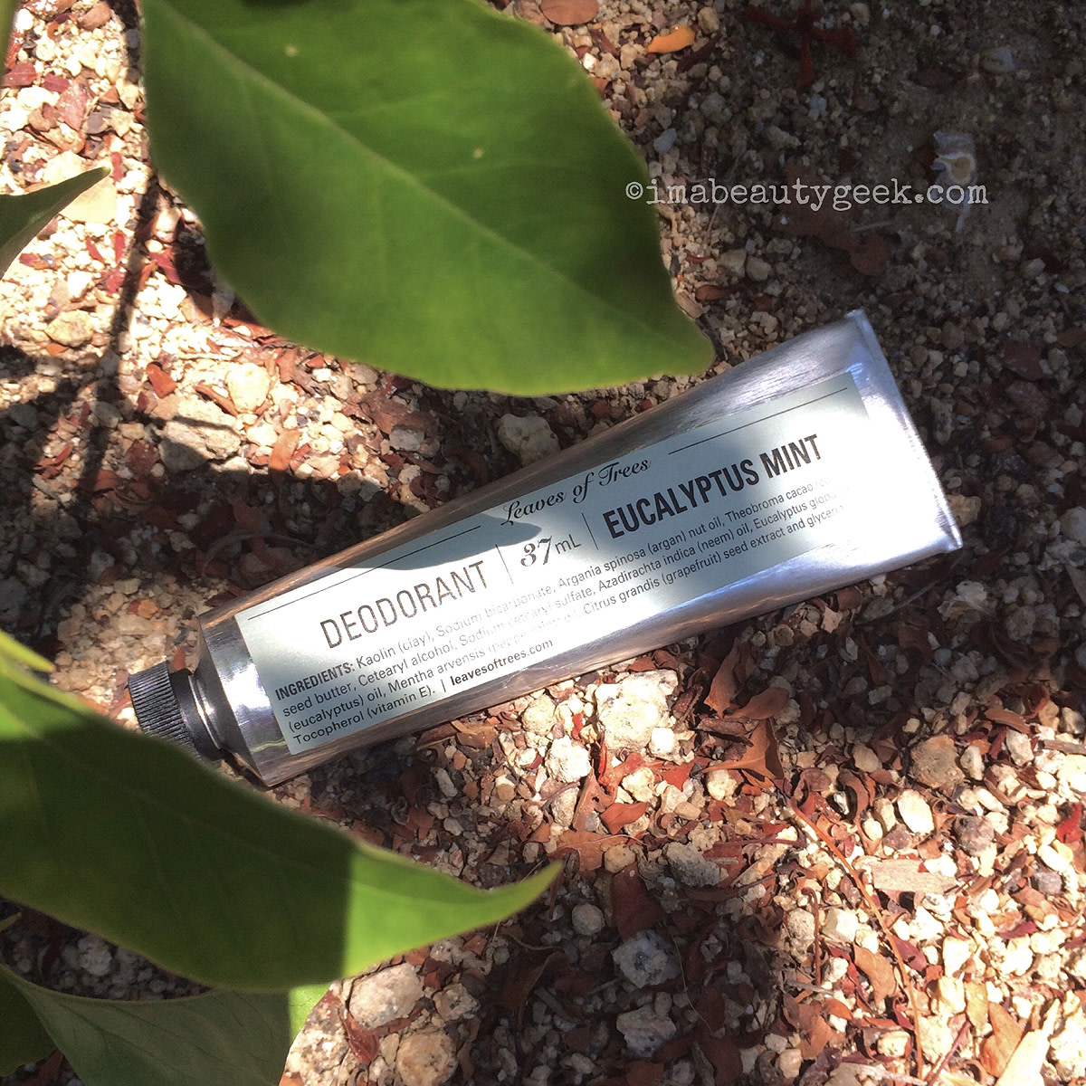 Leaves of Trees natural deodorant review
