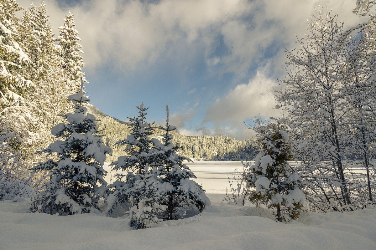Nita Lake Lodge, Whistler, BC: oh look, the lake in winter.