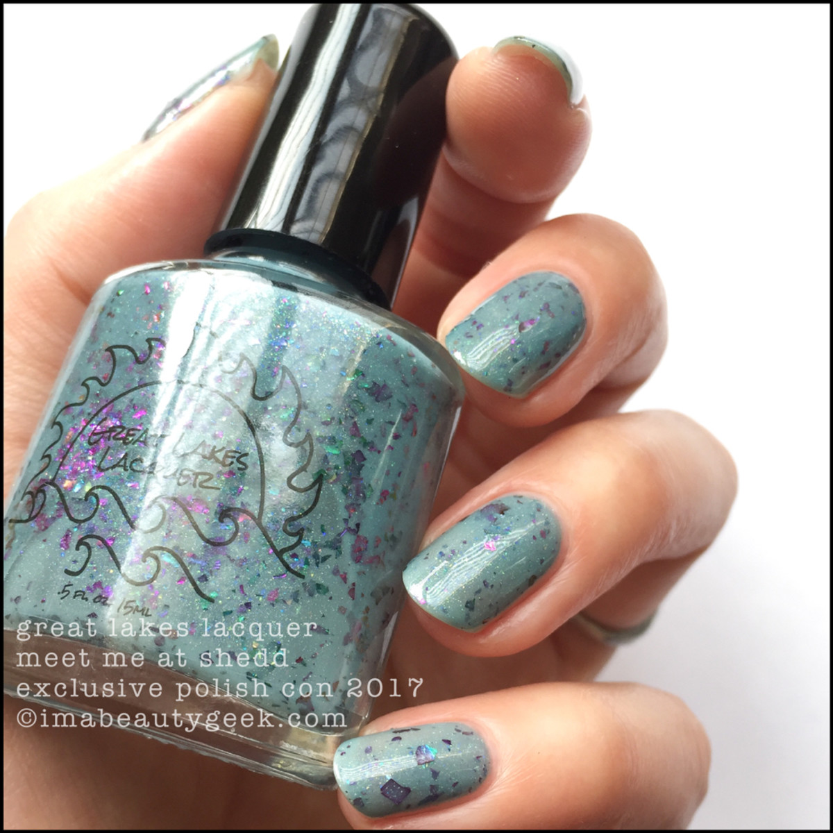 Great Lakes Lacquer Meet Me at Shedd _ Great Lakes Lacquer Polish Con 2017 Limited Editions