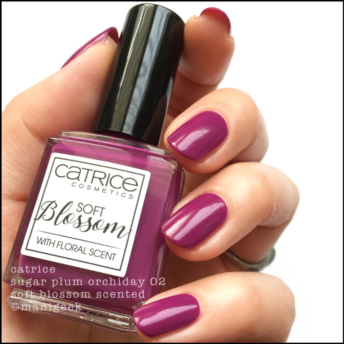 Catrice Sugar Plum Orchidy _ Catrice Soft Blossom Scented Nail Polish Swatches