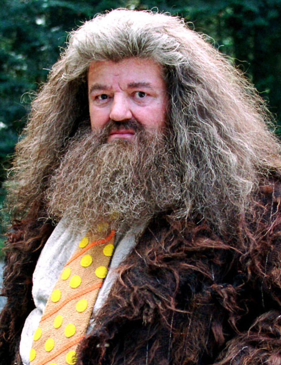 Hagrid's hair is like mine if I let it air-dry without using product. I keep my beard much more closely trimmed though. Truth.